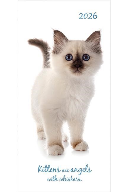 ΗΜΕΡ.THE GIFTED COMPANY 26 CUTE KITTENS 08*17 ΑΤΖΕΝΤΑ ΕΒΔΟΜΑΔΙΑΙΑ