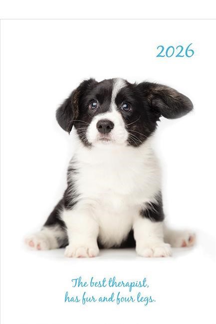 ΗΜΕΡΟΛΟΓΙΟ THE GIFTED COMPANY 26 ADORABLE DOGS 14,5*21 ΕΒΔΟΜΑΔΙΑΙΟ
