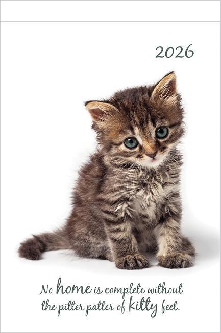 ΗΜΕΡΟΛΟΓΙΟ THE GIFTED COMPANY 26 CUTE KITTENS 14,5*21 ΕΒΔΟΜΑΔΙΑΙΟ