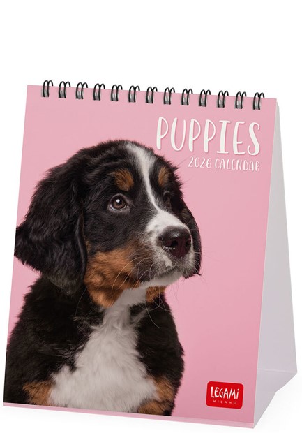 ΗΜΕΡΟΛΟΓΙΟ LEGAMI 26 PUPPIES 12*14,5 ΕΠΙΤΡΑΠΕΖΙΟ CAL260142
