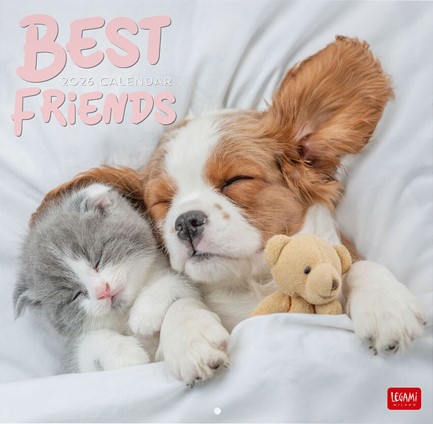 ΗΜΕΡΟΛΟΓΙΟ LEGAMI 26 BEST FRIENDS 30*30 ΤΟΙΧΟΥ CAL260005