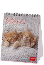 ΗΜΕΡΟΛΟΓΙΟ LEGAMI 26 KITTENS 30*30 ΤΟΙΧΟΥ CAL260002