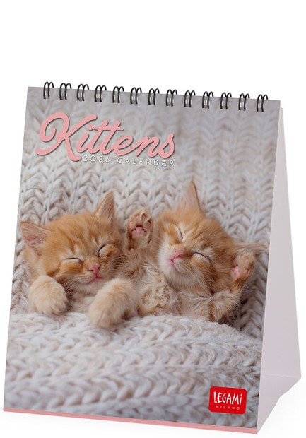 ΗΜΕΡΟΛΟΓΙΟ LEGAMI 26 KITTENS 30*30 ΤΟΙΧΟΥ CAL260002