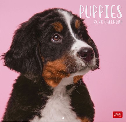 ΗΜΕΡΟΛΟΓΙΟ LEGAMI 26 PUPPIES 30*30 ΤΟΙΧΟΥ CAL260001