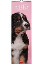 ΗΜΕΡΟΛΟΓΙΟ LEGAMI 26 PUPPIES 16*49 ΤΟΙΧΟΥ CAL260058
