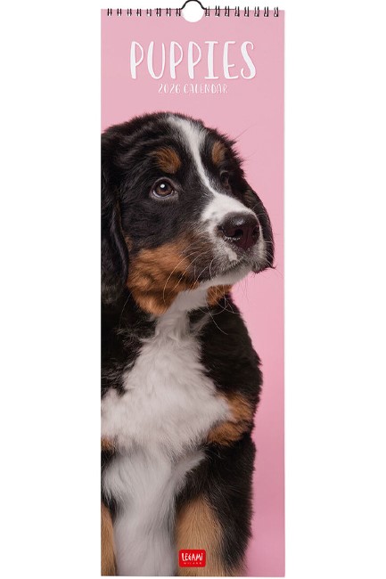 ΗΜΕΡΟΛΟΓΙΟ LEGAMI 26 PUPPIES 16*49 ΤΟΙΧΟΥ CAL260058