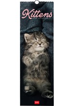 ΗΜΕΡΟΛΟΓΙΟ LEGAMI 26 KITTENS 16*49 ΤΟΙΧΟΥ CAL260059