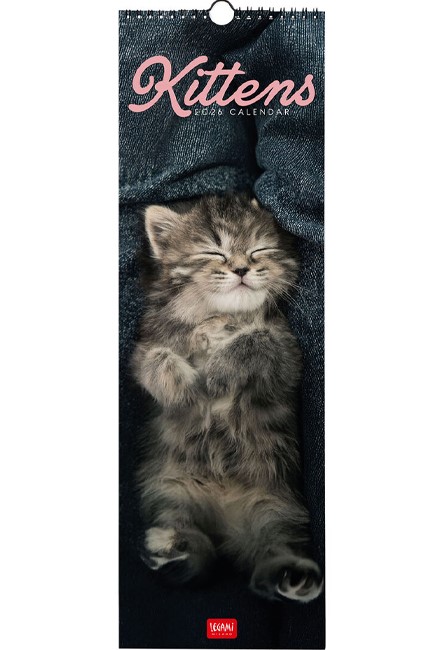 ΗΜΕΡΟΛΟΓΙΟ LEGAMI 26 KITTENS 16*49 ΤΟΙΧΟΥ CAL260059
