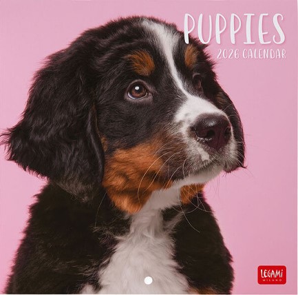 ΗΜΕΡΟΛΟΓΙΟ LEGAMI 26 PUPPIES 18*18 ΤΟΙΧΟΥ CAL260099