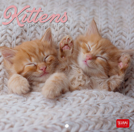 ΗΜΕΡΟΛΟΓΙΟ LEGAMI 26 KITTENS 18*18 ΤΟΙΧΟΥ CAL260100