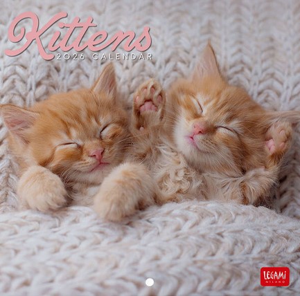 ΗΜΕΡΟΛΟΓΙΟ LEGAMI 26 KITTENS 18*18 ΤΟΙΧΟΥ CAL260100