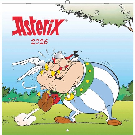 ΗΜΕΡΟΛΟΓΙΟ NEUMANN 26 ASTERIX 30*30 ΤΟΙΧΟΥ