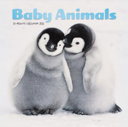 ΗΜΕΡΟΛΟΓΙΟ CAROUSEL 26 BABY ANIMALS 18*18 ΤΟΙΧΟΥ