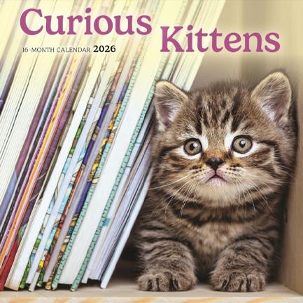 ΗΜΕΡΟΛΟΓΙΟ CAROUSEL 26 CURIOUS KITTENS 18*18 ΤΟΙΧΟΥ