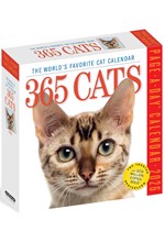 ΗΜΕΡΟΛΟΓΙΟ WORKMAN 26 365 CATS 13*13 ΕΠΙΤΡΑΠΕΖΙΟ