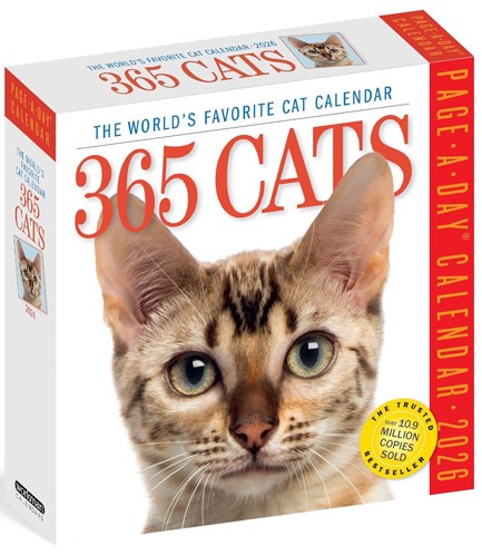 ΗΜΕΡΟΛΟΓΙΟ WORKMAN 26 365 CATS 13*13 ΕΠΙΤΡΑΠΕΖΙΟ