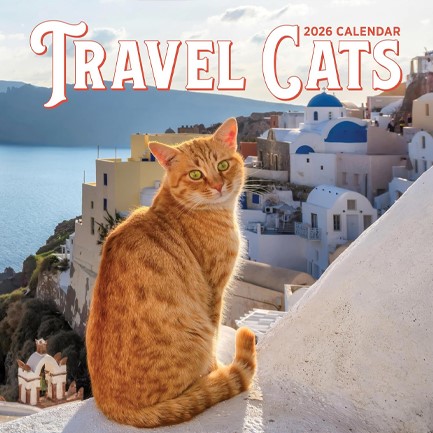 ΗΜΕΡΟΛΟΓΙΟ WORKMAN 26 TRAVEL CATS 30*30 ΤΟΙΧΟΥ