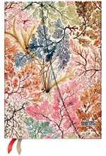 ΗΜΕΡΟΛΟΓΙΟ PAPERBLANKS 26 ANEMONE 13*18 ΕΒΔΟΜΑΔΙΑΙΟ MIDI