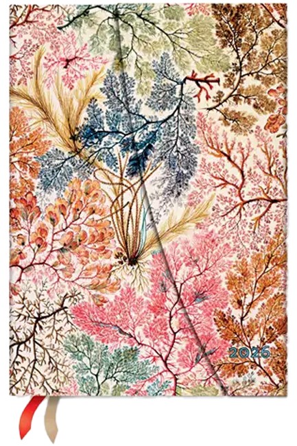 ΗΜΕΡΟΛΟΓΙΟ PAPERBLANKS 26 ANEMONE 13*18 ΕΒΔΟΜΑΔΙΑΙΟ MIDI