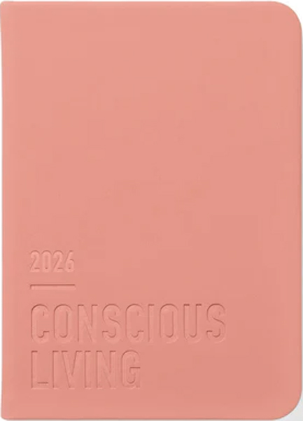 ΗΜΕΡΟΛΟΓΙΟ LETTS 26 CONSCIOUS CLAY 15*21 ΗΜΕΡΗΣΙΟ