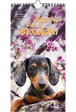 ΗΜΕΡΟΛΟΓΙΟ KLAKETA 26 ΑΓΑΠΩ ΕΝΑ ΣΚΥΛΑΚΙ 17*33 ΤΟΙΧΟΥ