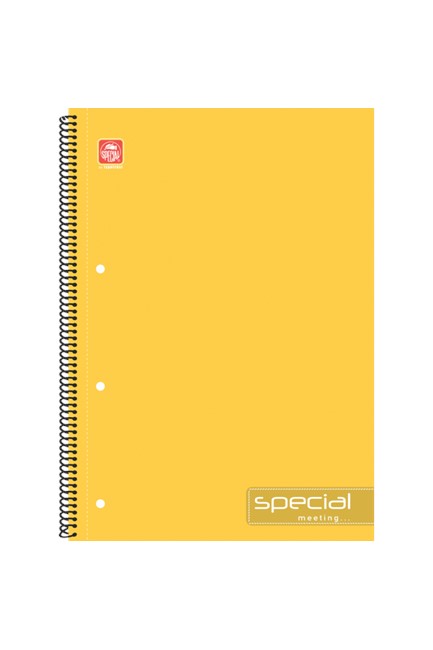 ΤΕΤΡΑΔΙΟ ΣΠΙΡΑΛ 20*30 3ΘΕΜ.ΠΕΡΦΟΡΕ ΜΕ ΟΠΕΣ SPECIAL MEETING