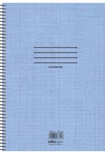 ΤΕΤΡΑΔΙΟ ΣΠΙΡΑΛ 17*25 3ΘΕΜ.90Φ.COLORLINE