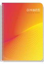 ΤΕΤΡΑΔΙΟ ΣΠΙΡΑΛ 20*30 4ΘΕΜ.120Φ.OMBRE