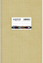 ΤΕΤΡΑΔΙΟ ΧΡΩΜΑΤΙΣΤΟ COLORLINE 20*30 40Φ.ΚΙΤΡΙΝΟ