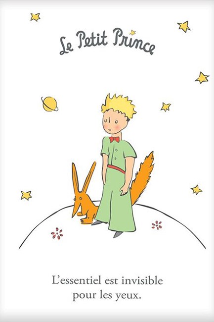 ΤΕΤΡΑΔΙΟ FANCY 15*22 ΚΑΡΦΙΤΣΑ KIUB EDITION ΡΙΓΕ 80Φ.LE PETIT PRINCE ΑΛΕΠΟΥ