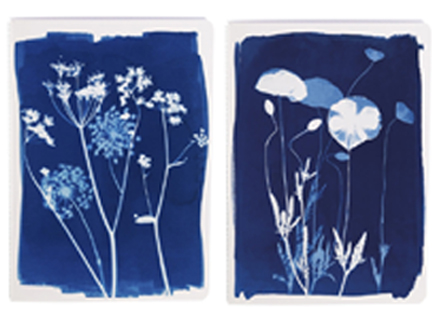 ΤΕΤΡΑΔΙΟ FANCY A5 ΡΙΓΕ 32Φ.ΚΑΡΦΙΤΣΑ CLAIRE FONTAINE CYANOTYPE