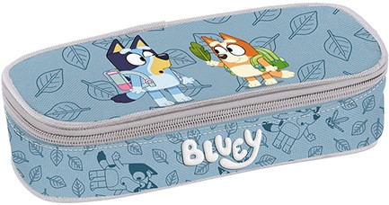 ΚΑΣΕΤΙΝΑ ΟΒΑΛ BOX BLUEY FACE 250343