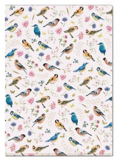 ΘΗΚΗ Α4 ΜΕ ΑΝΟΙΓΜΑ Γ BB BRINKMAN-VOGELS/BIRDS COLLAGE