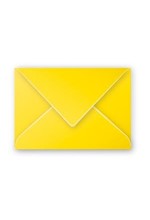 ΦΑΚΕΛΟΣ ΑΛΛΗΛ/ΦΙΑΣ POLLEN 75*100 20ΤΕΜ.INTENSIVE YELLOW
