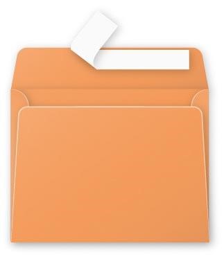 ΦΑΚΕΛΟΣ ΑΛΛΗΛ/ΦΙΑΣ ΡΟLLΕΝ 90*140 20ΤΕΜ.ORANGE