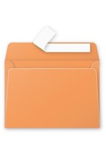 ΦΑΚΕΛΟΣ ΑΛΛΗΛ/ΦΙΑΣ POLLEN 114*162 20ΤΕΜ.ORANGE