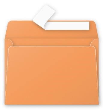 ΦΑΚΕΛΟΣ ΑΛΛΗΛ/ΦΙΑΣ POLLEN 114*162 20ΤΕΜ.ORANGE