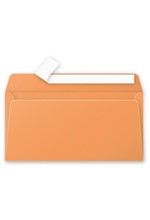ΦΑΚΕΛΟΣ ΑΛΛΗΛ/ΦΙΑΣ POLLEN 110*220 20ΤΕΜ.ORANGE