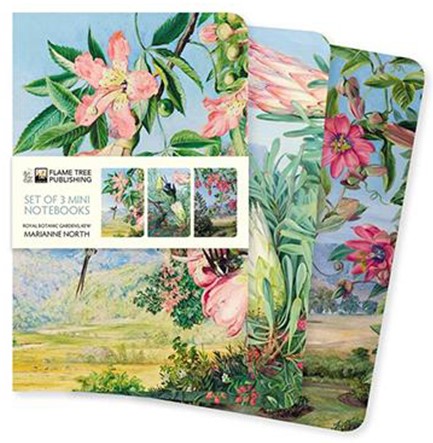 ΣΗΜΕΙΩΜΑΤΑΡΙΟ FLAME TREE MINI NORTH MARIANNE-KEW GARDENS 9*14,5cm.32Φ.ΡΙΓΕ ΣΕΤ 3ΤΕΜ.