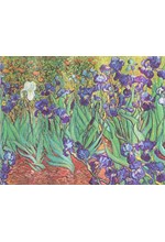 ΒΙΒΛΙΟ ΕΠΙΣΚΕΠΤΩΝ 22,5*18cm.ΑΡΙΓΩΤΟ PB VAN GOGH S IRISES