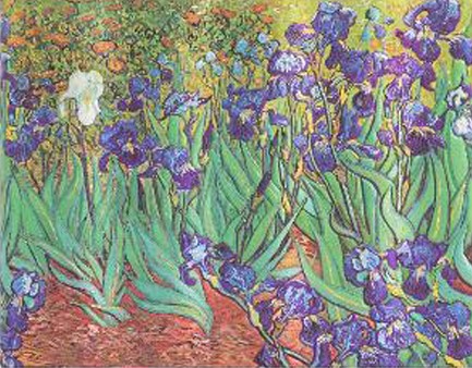 ΒΙΒΛΙΟ ΕΠΙΣΚΕΠΤΩΝ 22,5*18cm.ΑΡΙΓΩΤΟ PB VAN GOGH S IRISES