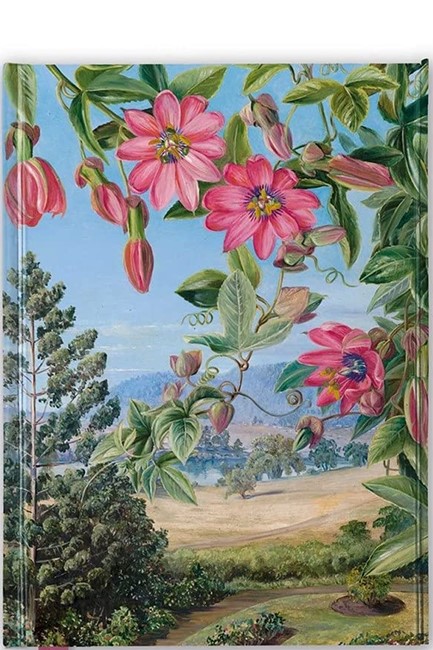 ΣΗΜΕΙΩΜΑΤΑΡΙΟ FLAME TREE LUXURY NORTH-VIEW IN THE BRISBANE BOTANIC GARDEN 14,8*21cm.88Φ.ΡΙΓΕ