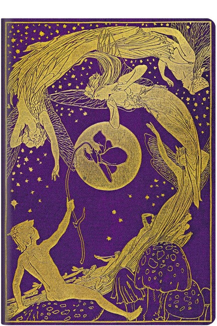 ΤΕΤΡΑΔΙΟ 10,5*14,8cm.ΡΙΓΕ PAPERBLANKS VIOLET FAIRY