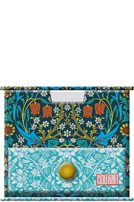 ΚΥΒΟΣ ΣΗΜΕΙΩΣΕΩΝ ΧΑΡΤΙΝΟΣ THE GIFTED STATIONERY ΜΕ ΣΥΡΤΑΡΙ WILLIAM MORRIS-BLACKTHORN