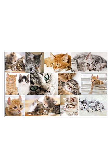 ΣΟΥΜΕΝ 55*35 HERMA 19379 CATS