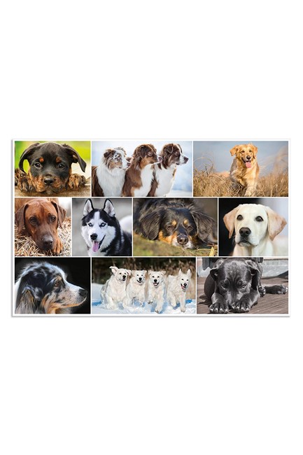 ΣΟΥΜΕΝ 55*35 HERMA 19378 DOGS