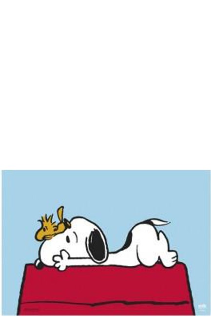 ΣΟΥΜΕΝ 49,5*34,5εκ.DESKMAT TSEH369 PEANUTS SNOOPY DOGHOUSE
