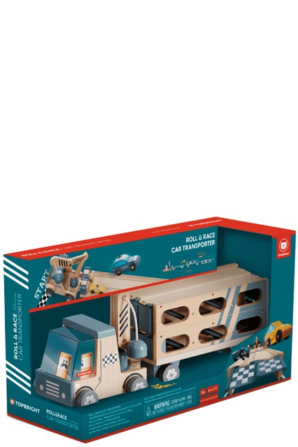 ΜΕΤΑΦΟΡΕΑΣ ΑΥΤΟΚΙΝΗΤΩΝ TOP BRIGHT