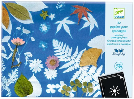 ΔΗΜΙΟΥΡΓΩ ΕΙΚΟΝΕΣ DJECO ΣΕ ΧΑΡΤΙ ΚΥΑΝΟΤΥΠΙΑΣ