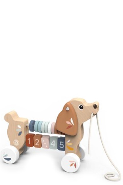 ΣΥΡΟΜΕΝΟ ΞΥΛΙΝΟ ΕΚΠΑΙΔΕΥΤΙΚΟ ΣΚΥΛΑΚΙ SPEEDY MONKEY